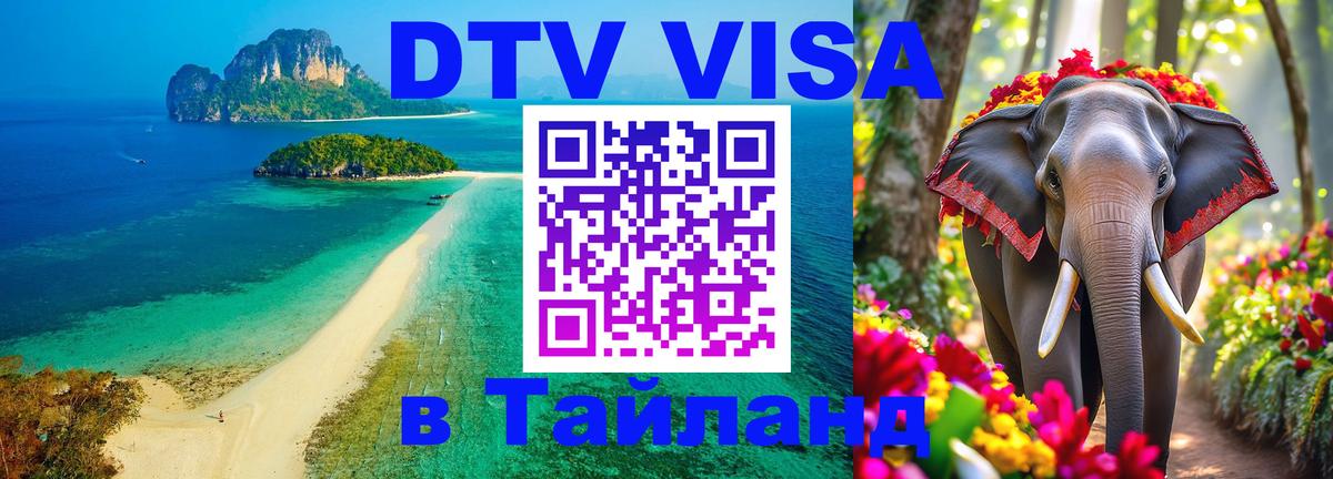 Сколько стоит DTV виза — актуальные цены, оформление даже без документов - 20.11.2025 